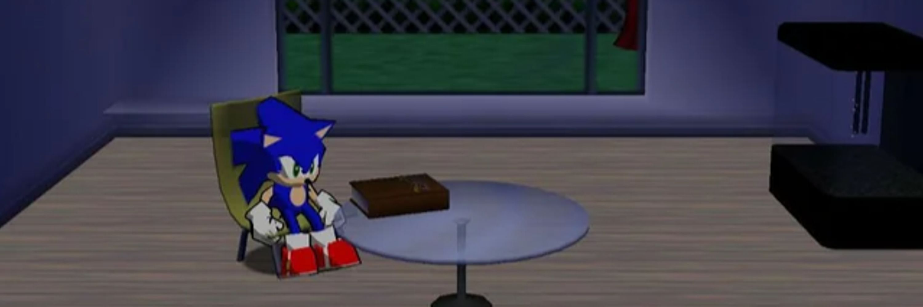 Another Sonic Fan