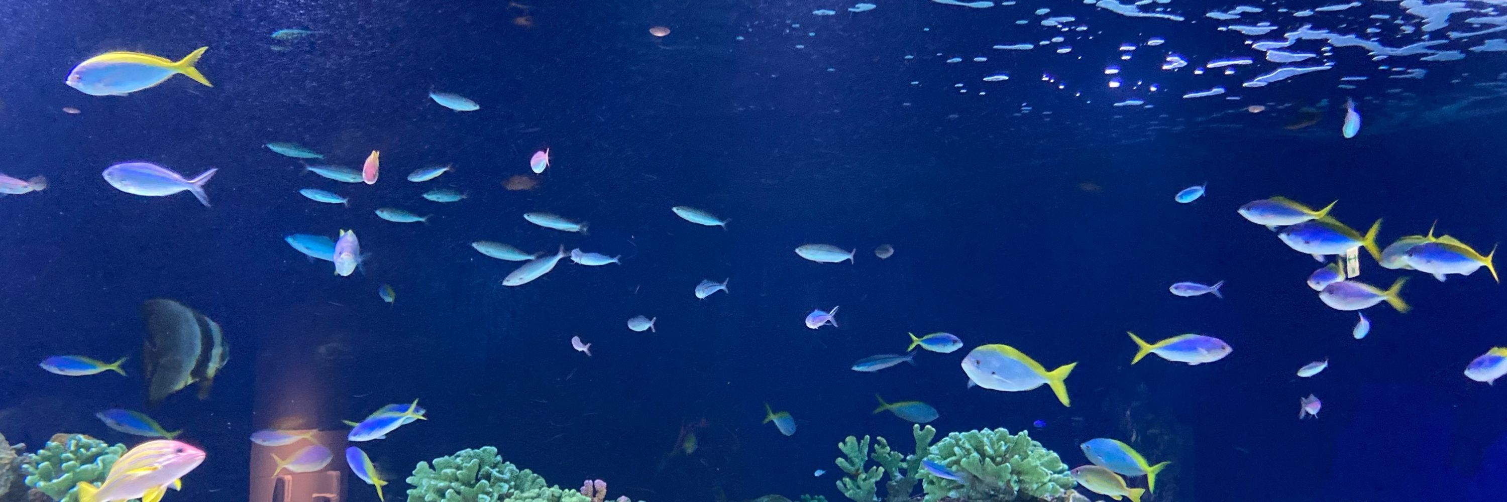 天然水