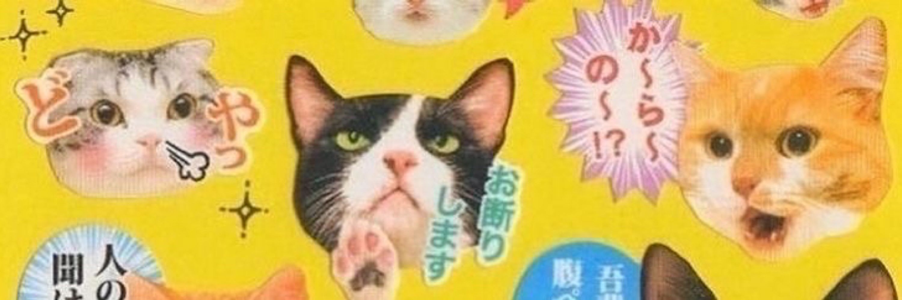 ︎