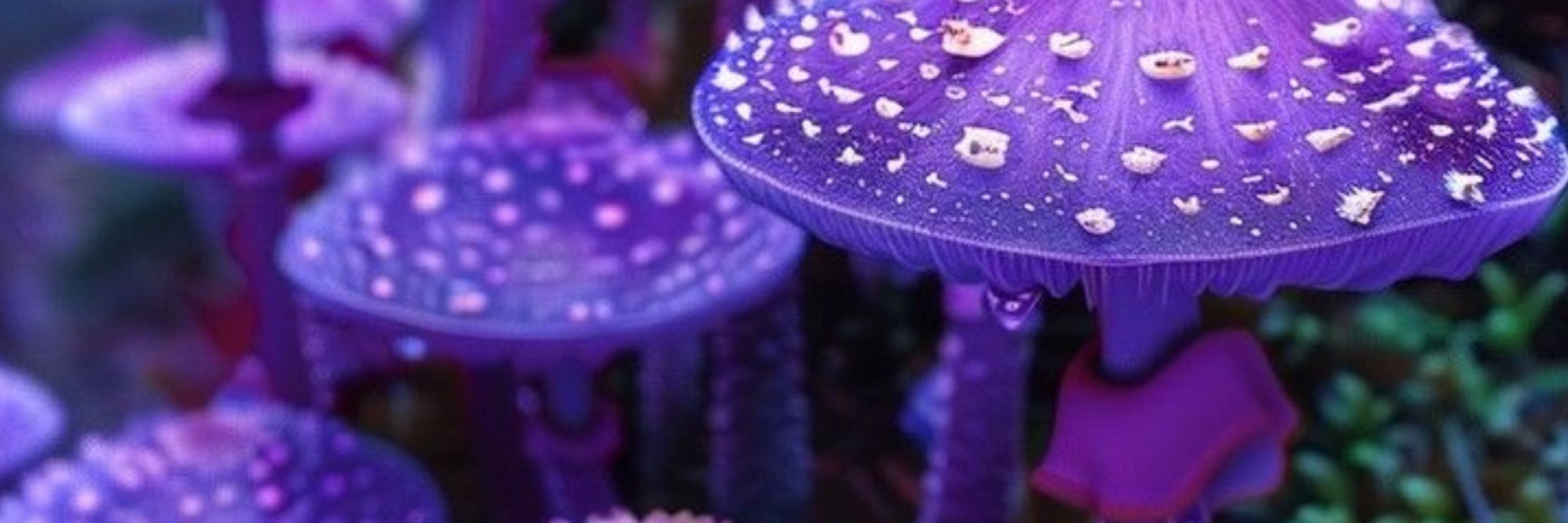 weeping.shroom