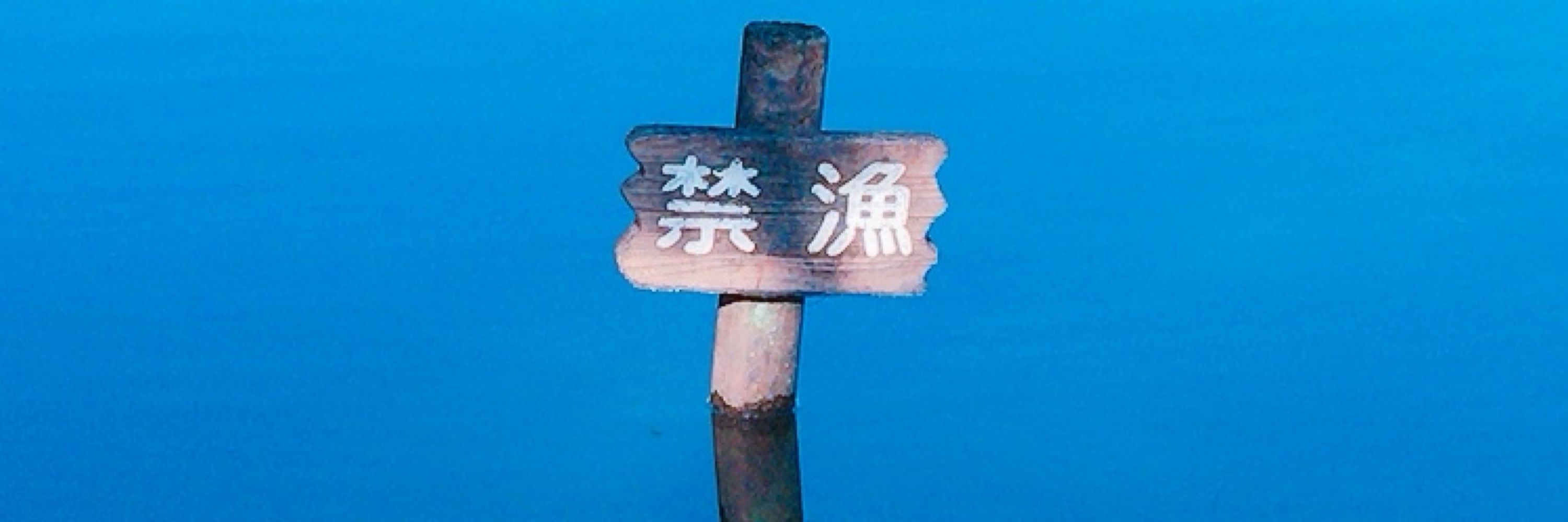 いぬまる