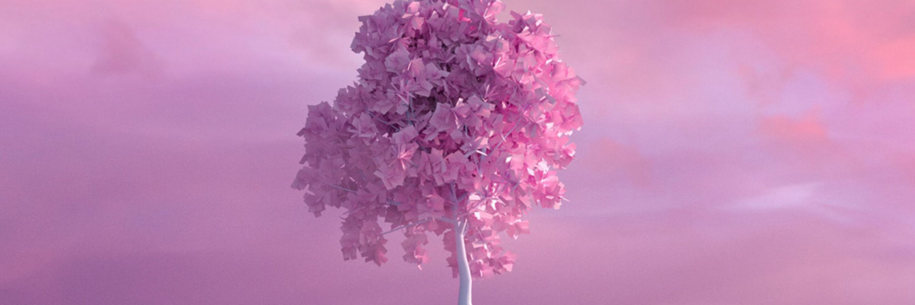 яёi