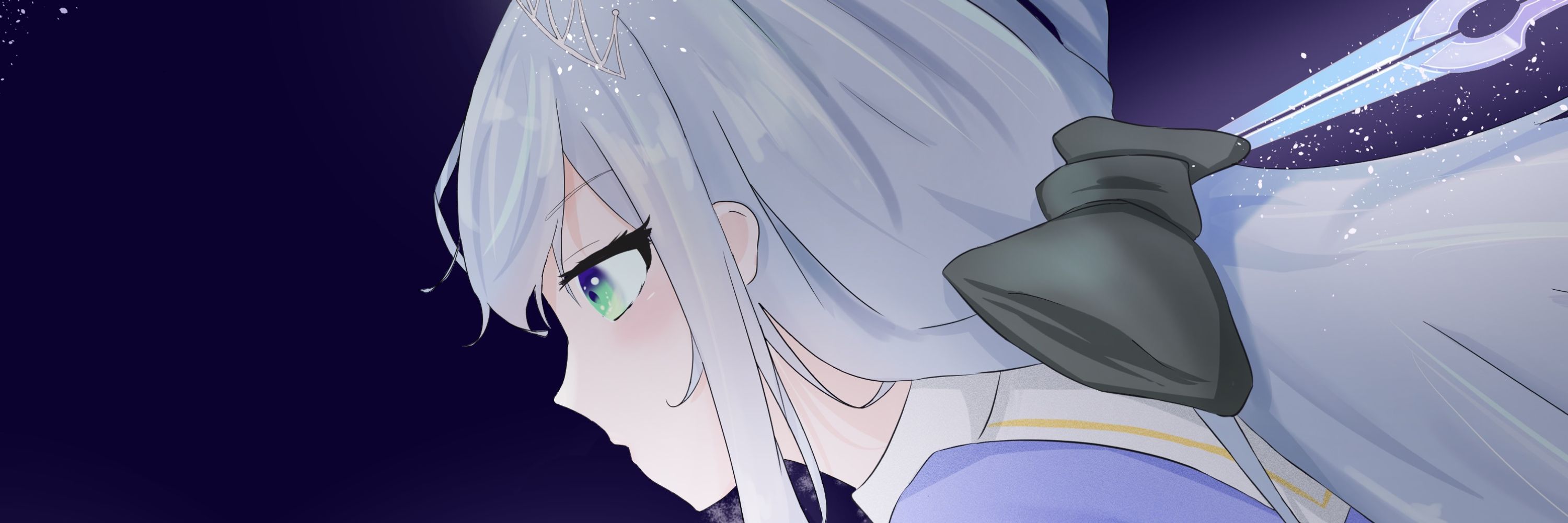 ぽちのごはん