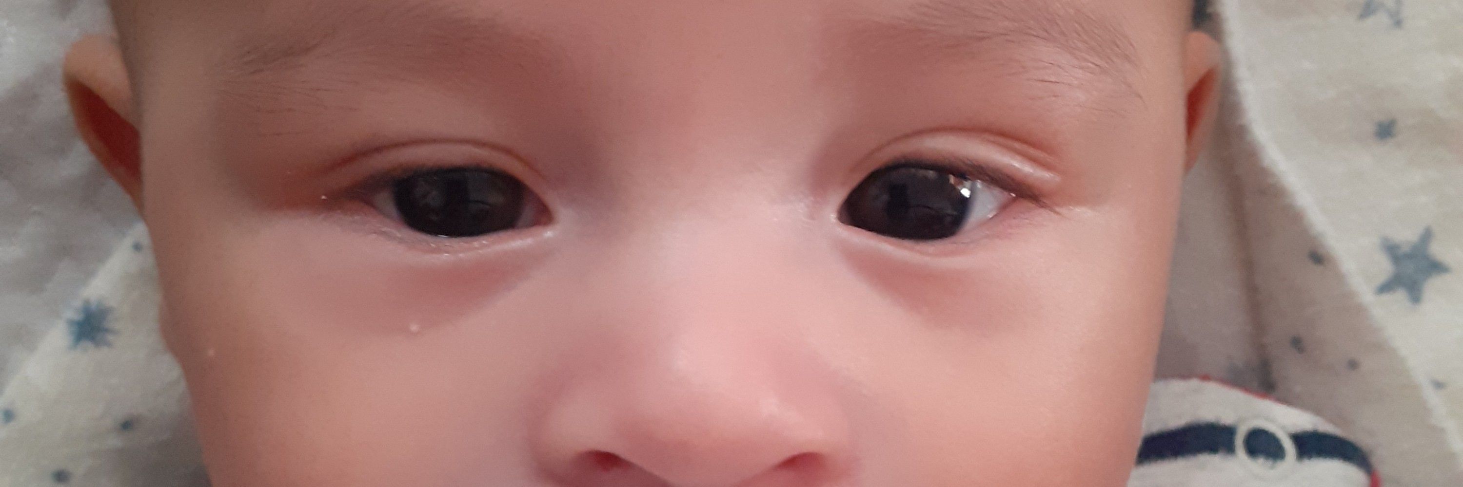 Helo◇loise