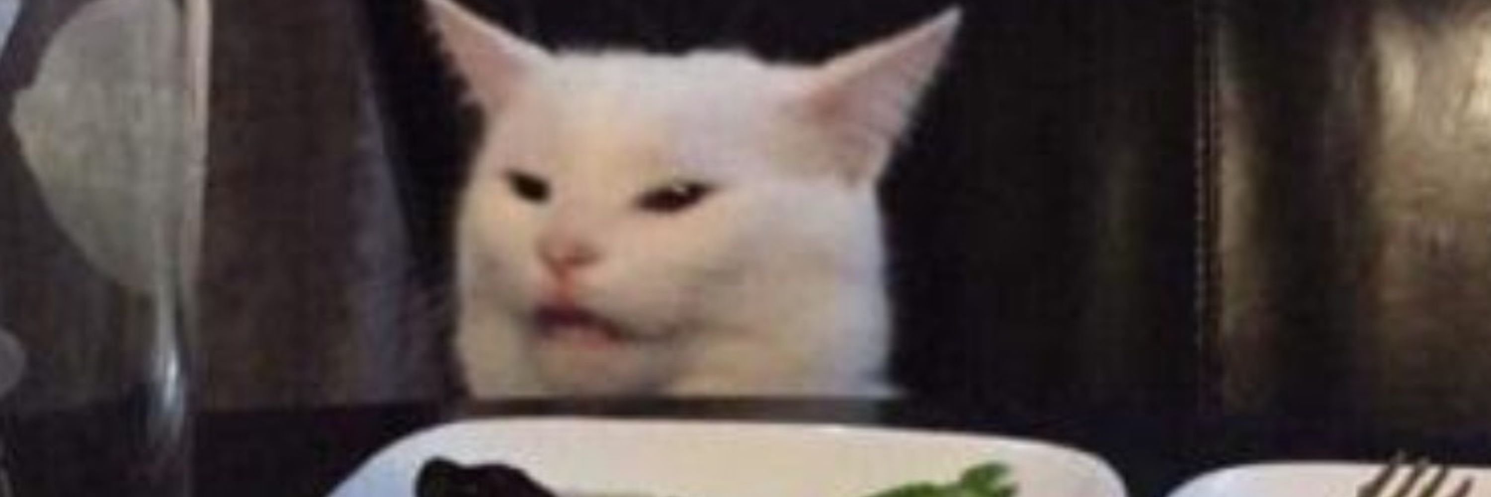 Todd