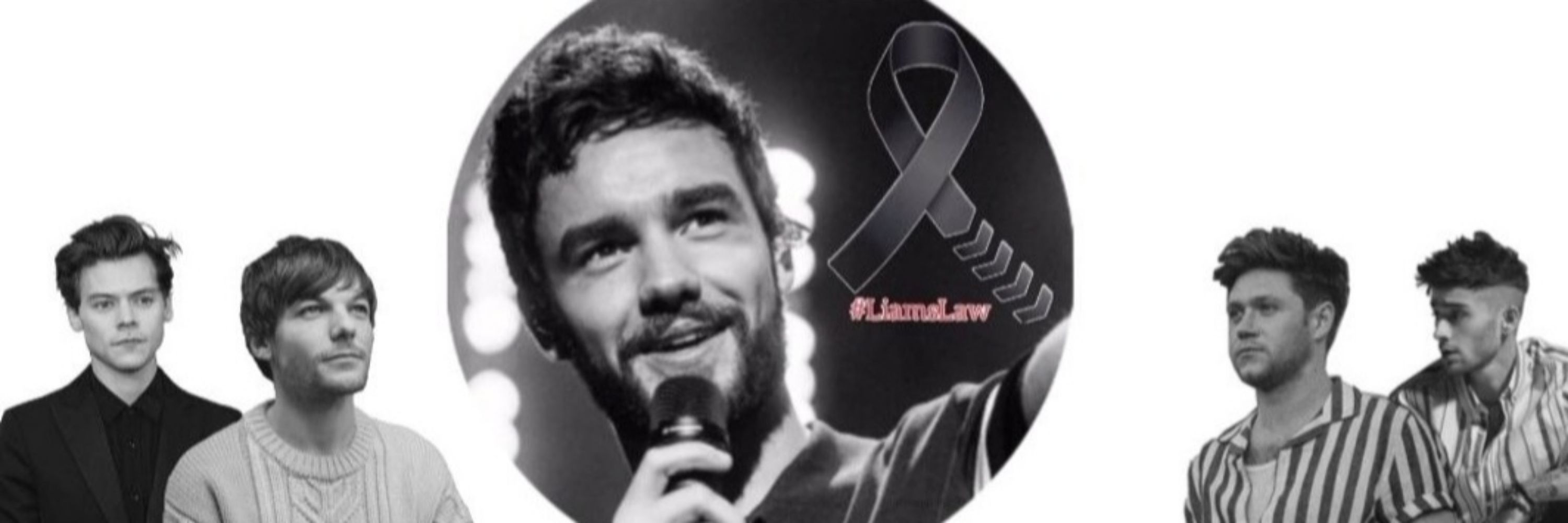 Louis 💙💚 Harry Niall Zayn LIAM 💔🕊