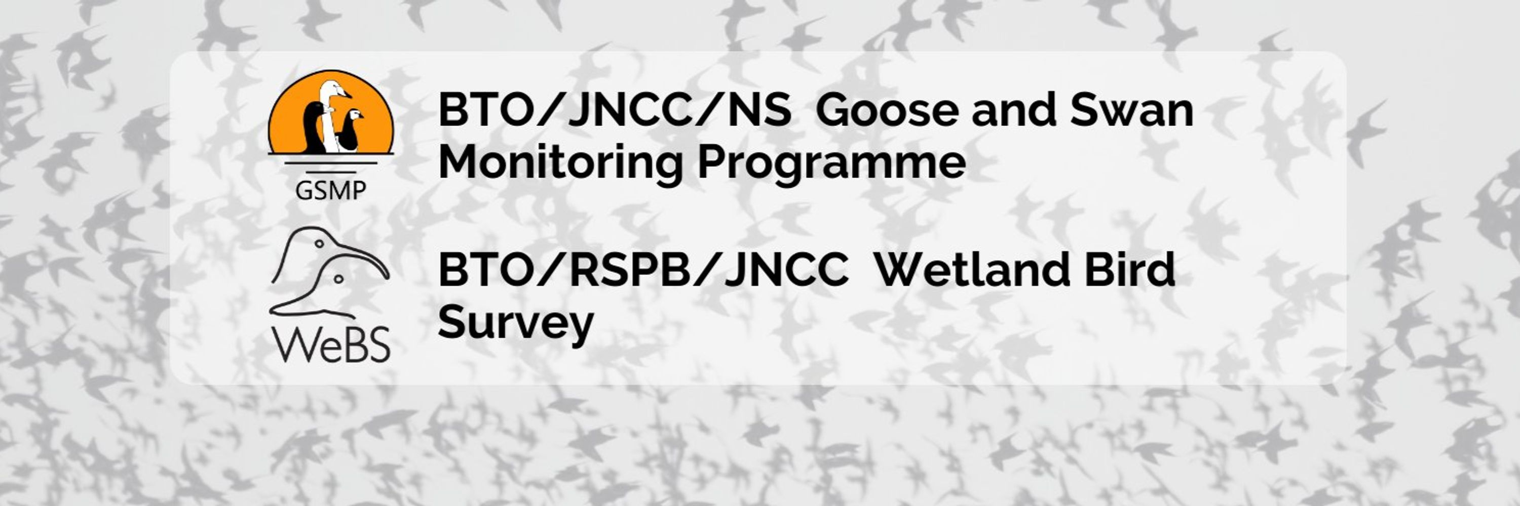 Wetland Bird Survey (WeBS) | Goose & Swan Monitoring (GSMP)