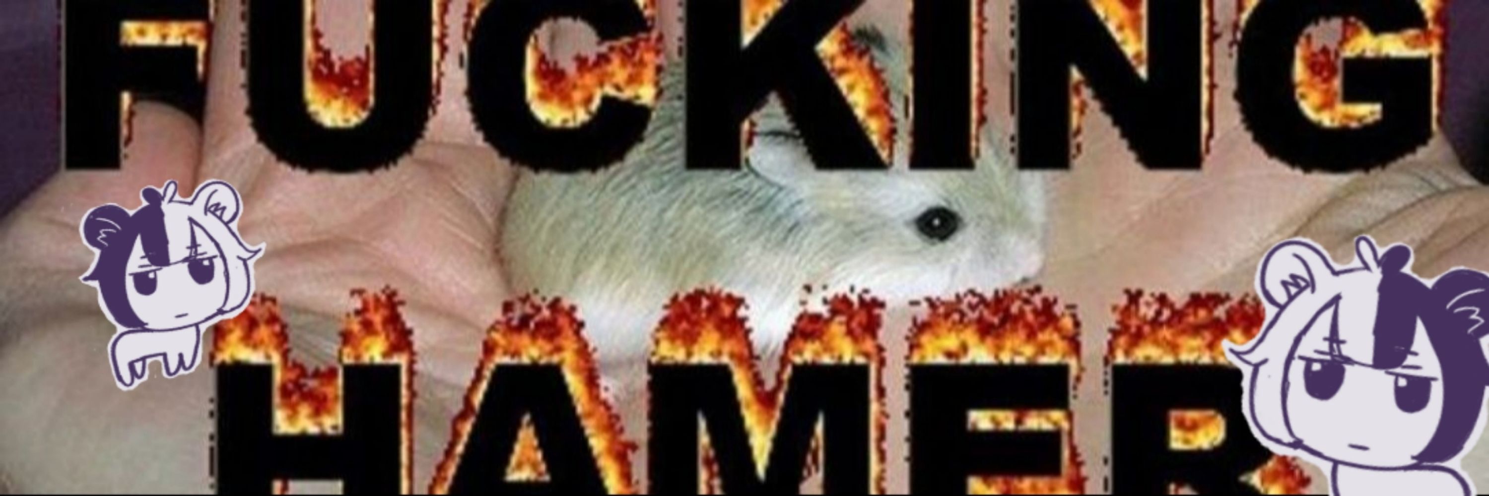 hammy 🍖