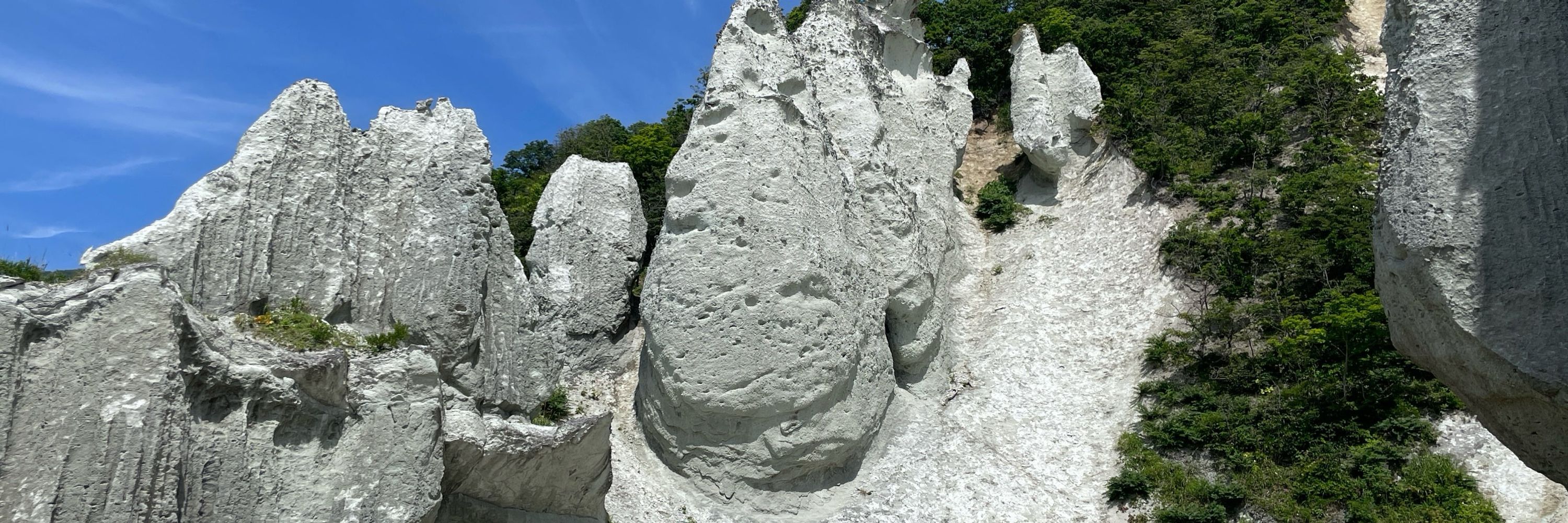 oʇıqıqɐʇ