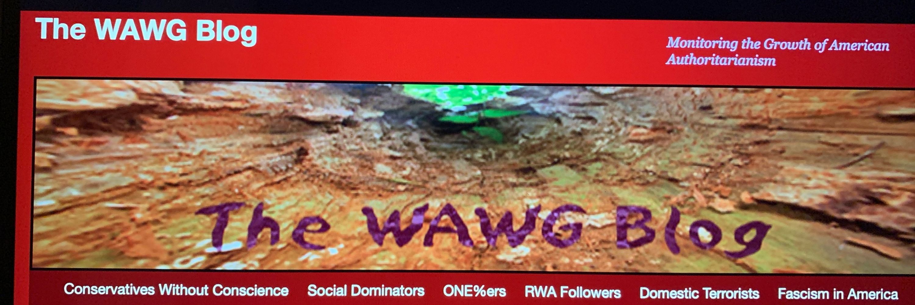 Andy WAWG