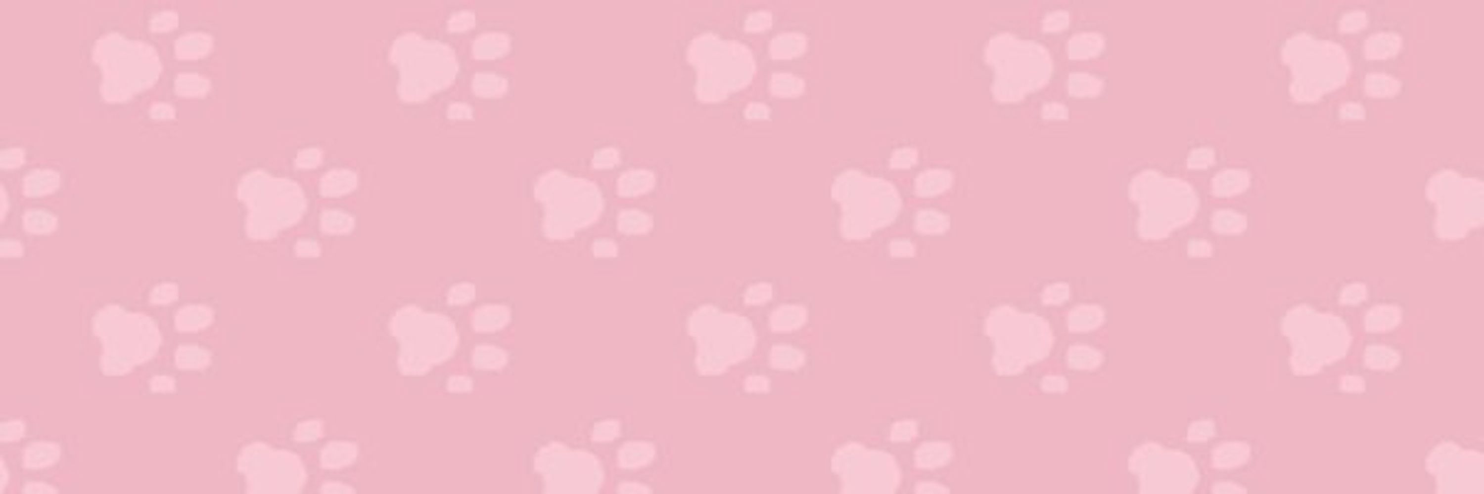 ✨🌈 bee 🌈✨