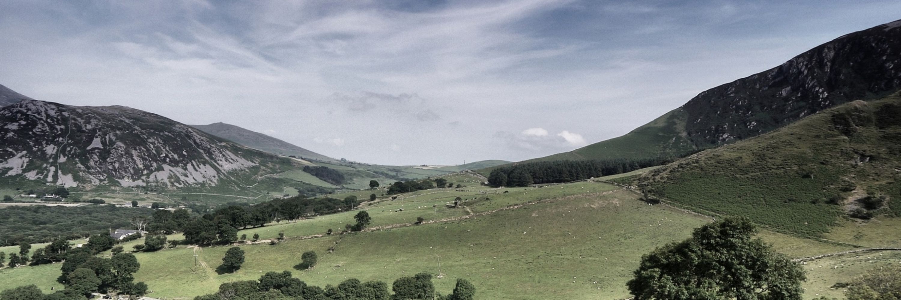Dafydd Elfryn