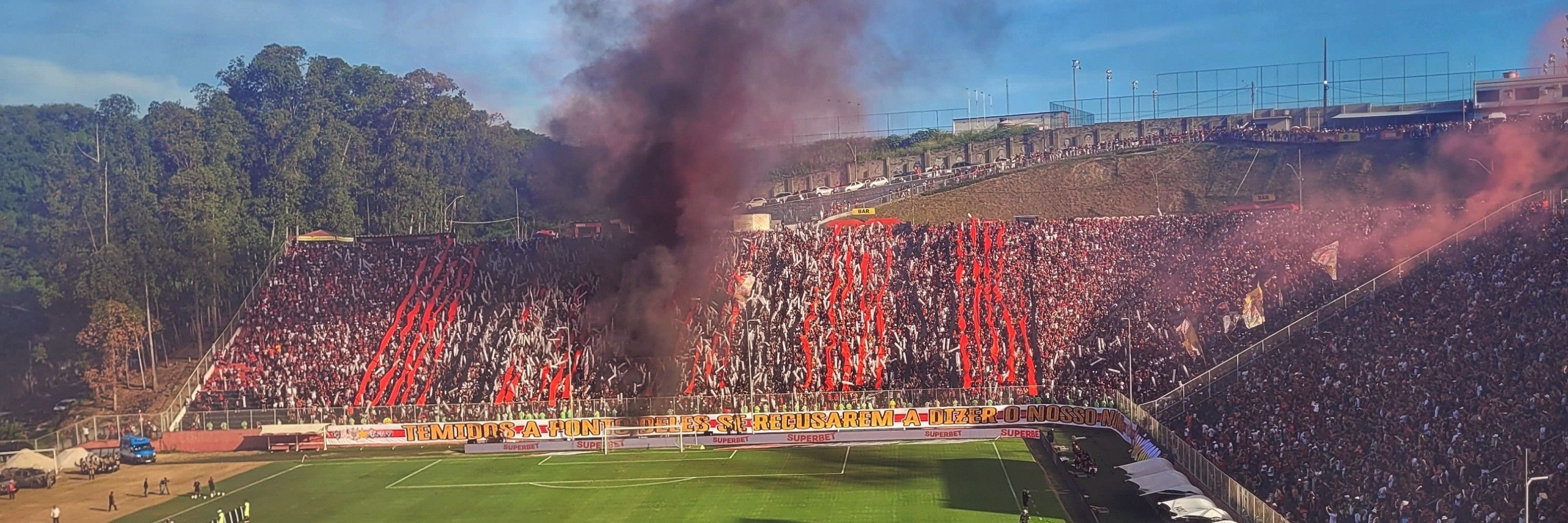 Tigre Voador Gigante Surreal