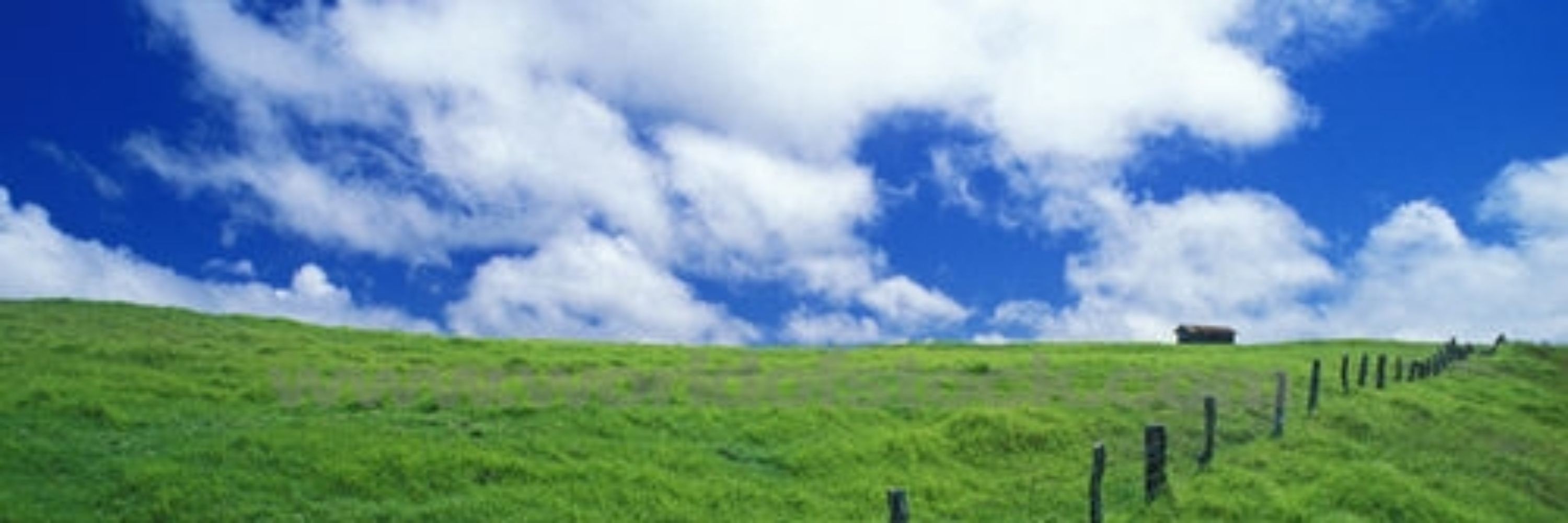 Ahu