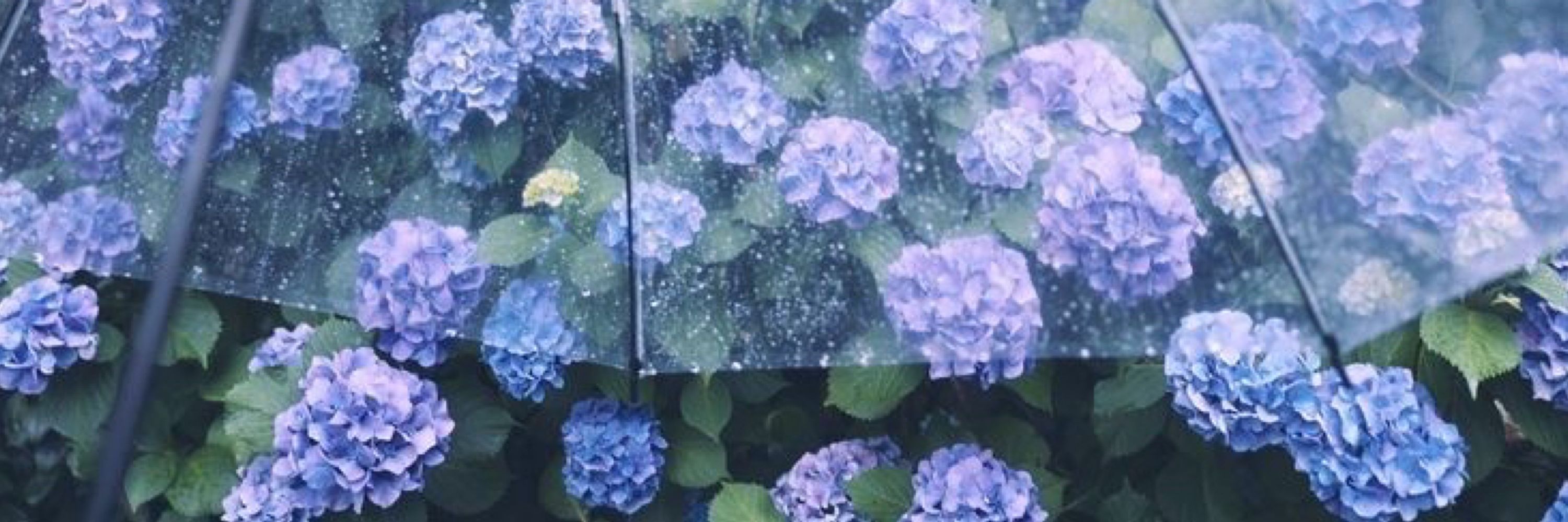 夜空 | Yozora 🌧 (late reply)