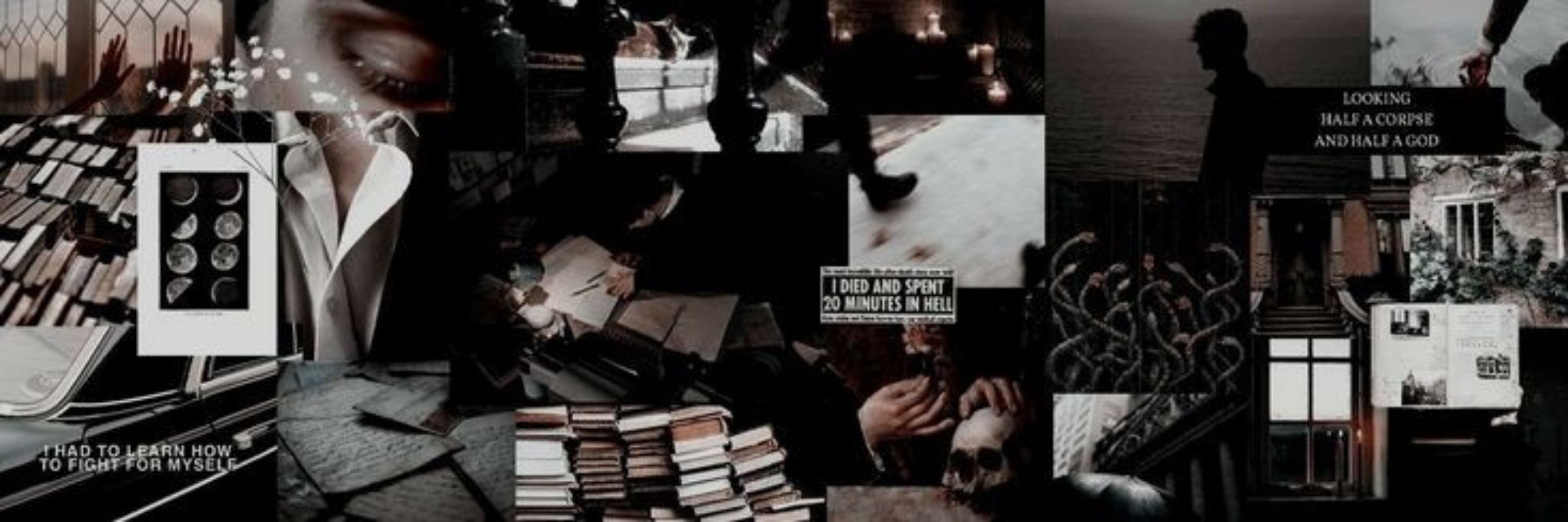 — ;; ꑭ хᴀнімʏн ✧.*