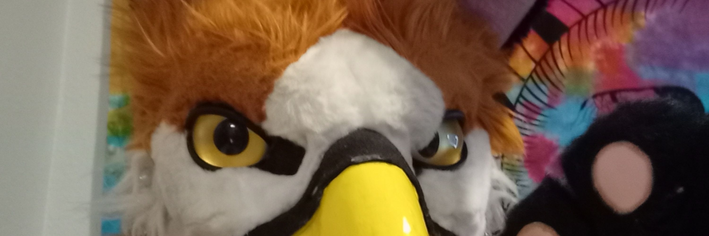 Chip L. Chesterbeak