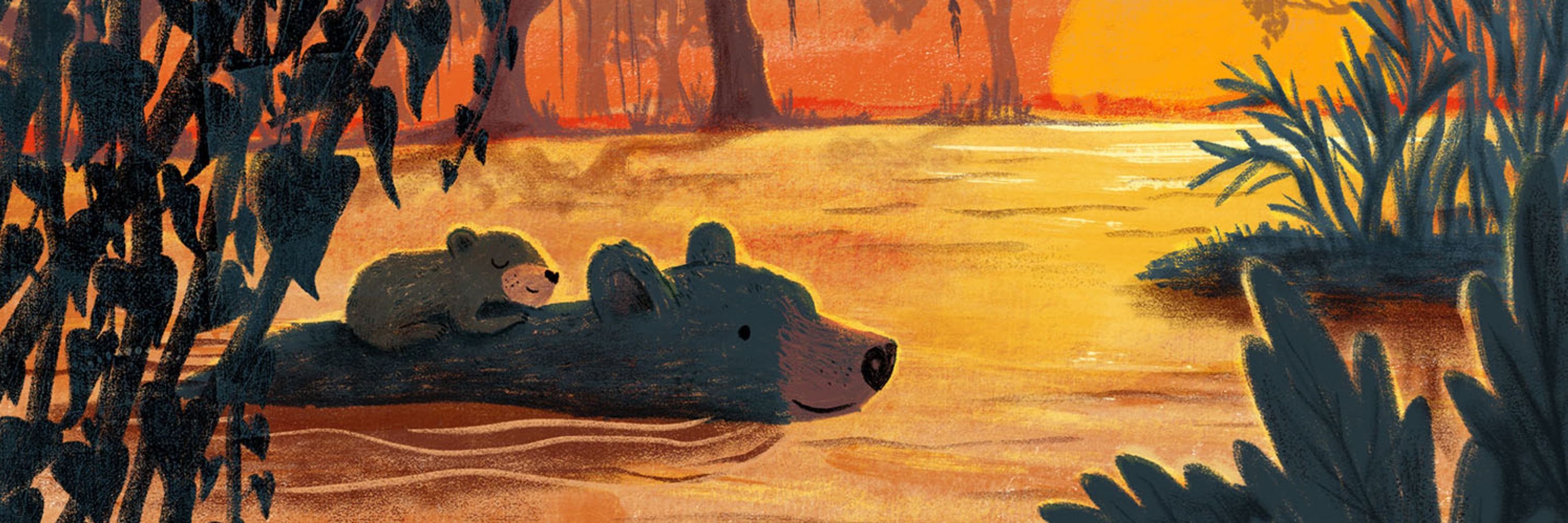 Sally Walker | Kidlit Illustrator