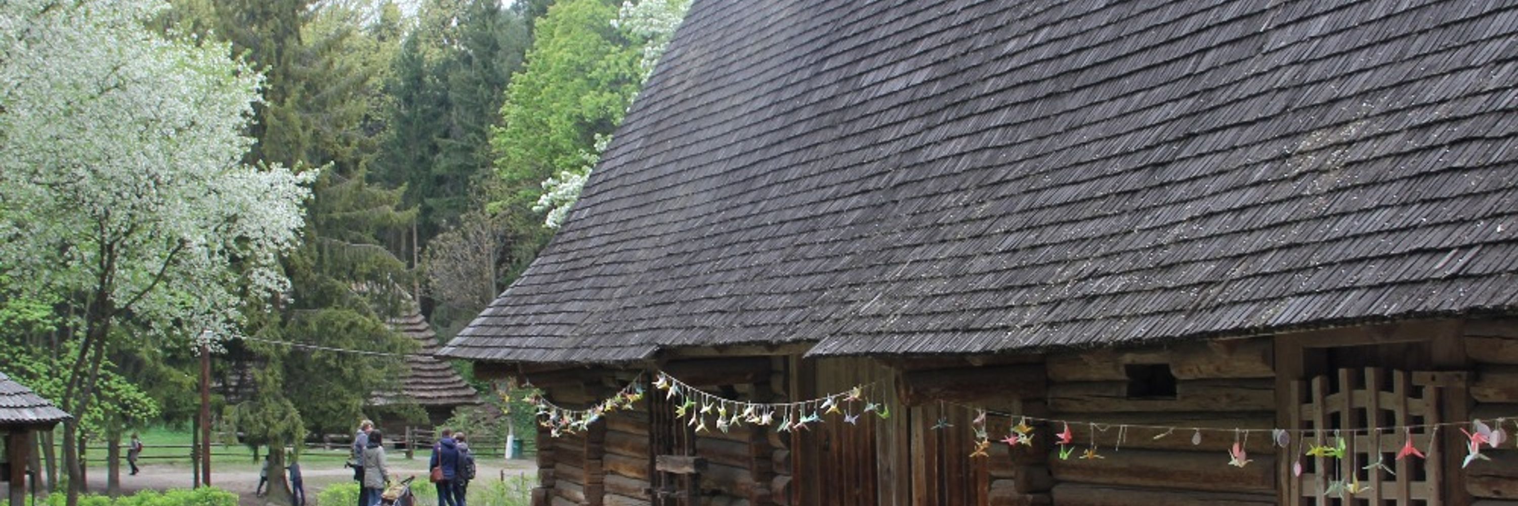 Піца "Сердита пташка"