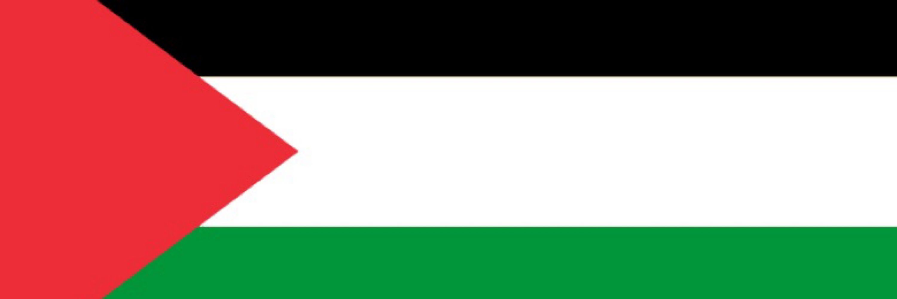 En.MohammedFromGaza 🇵🇸🫒