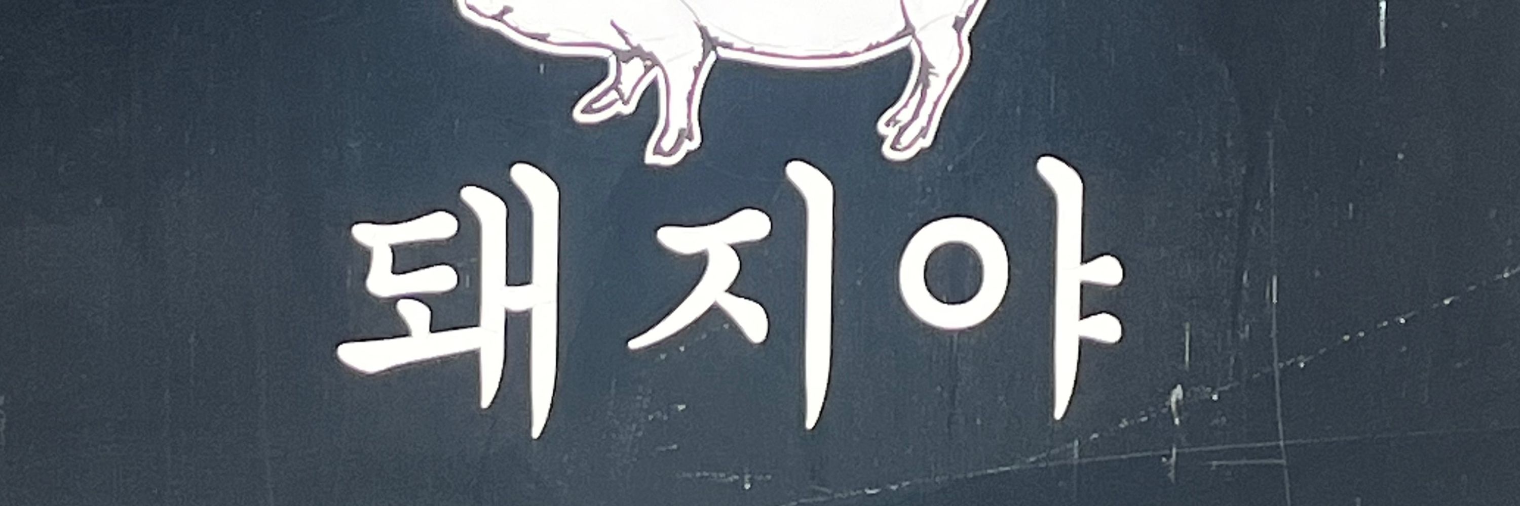 거북북