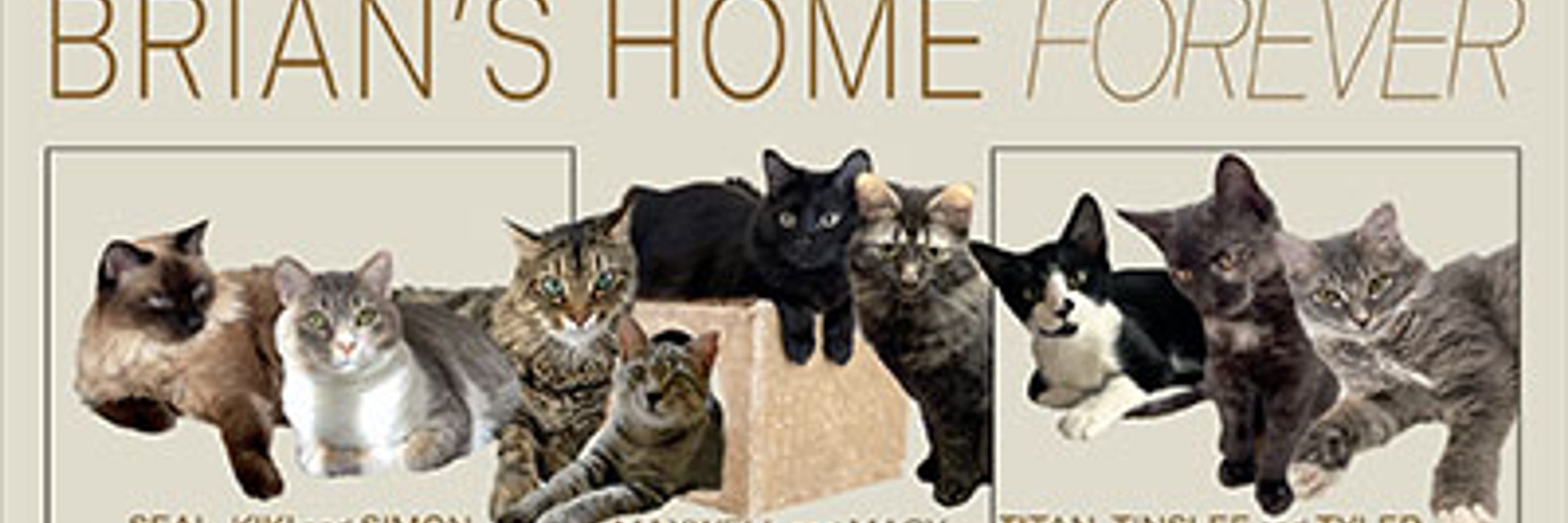 Brian’s Home Blog