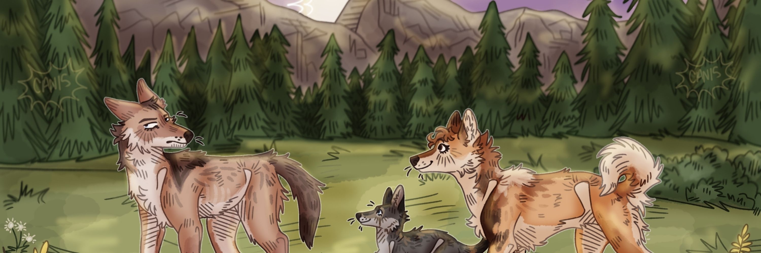 Canis
