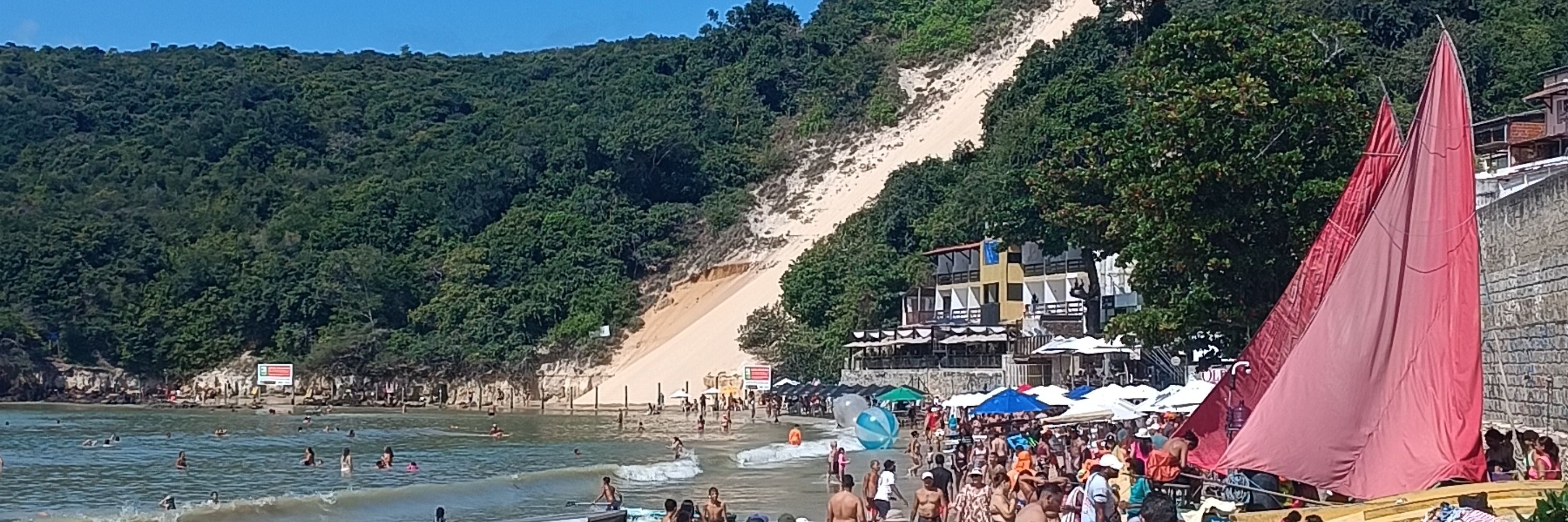 papagaio chora igual bebê pedindo a volta do fim de semana 