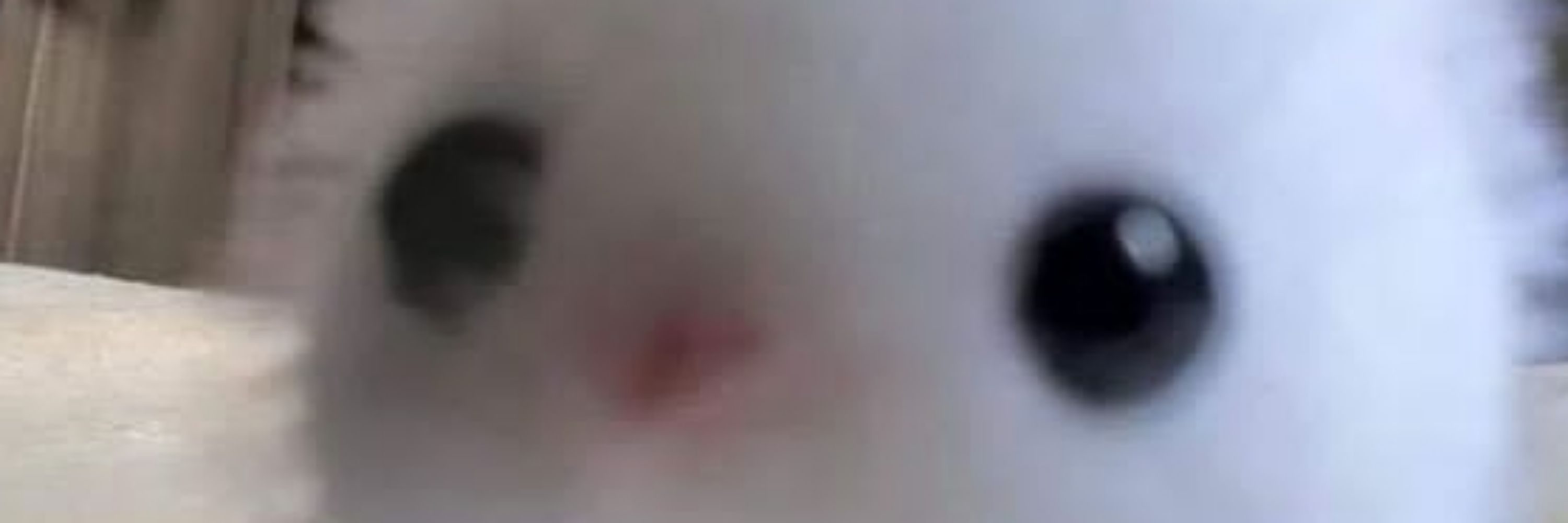 Ste