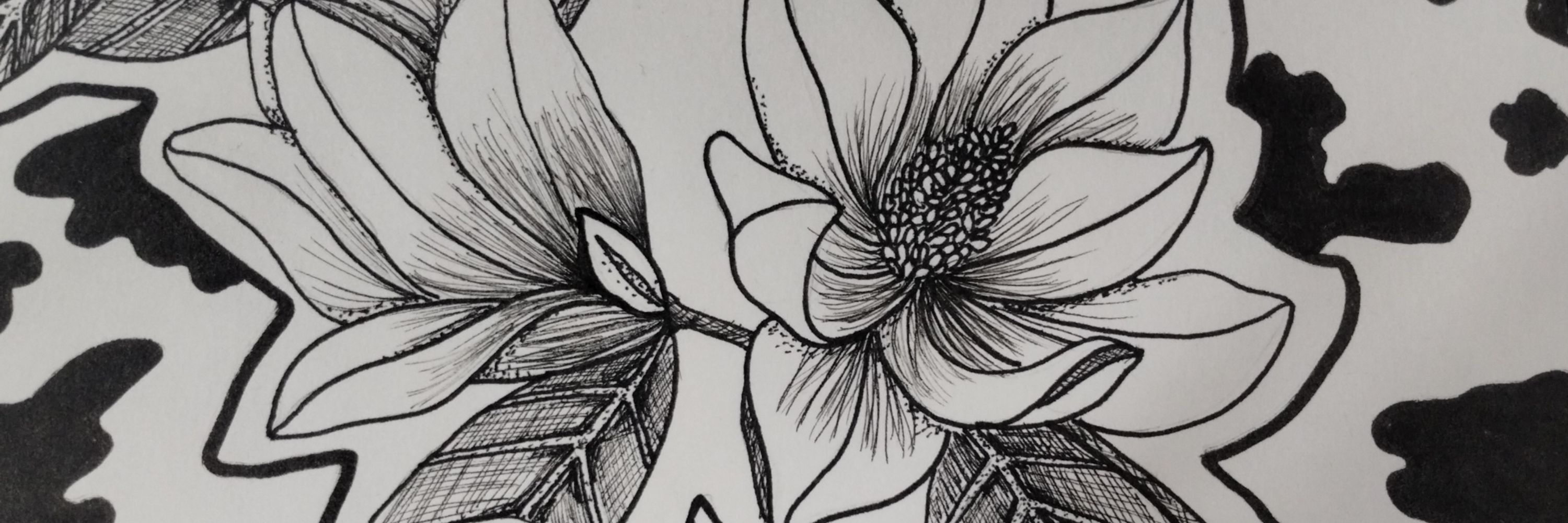 H.C. Artist
