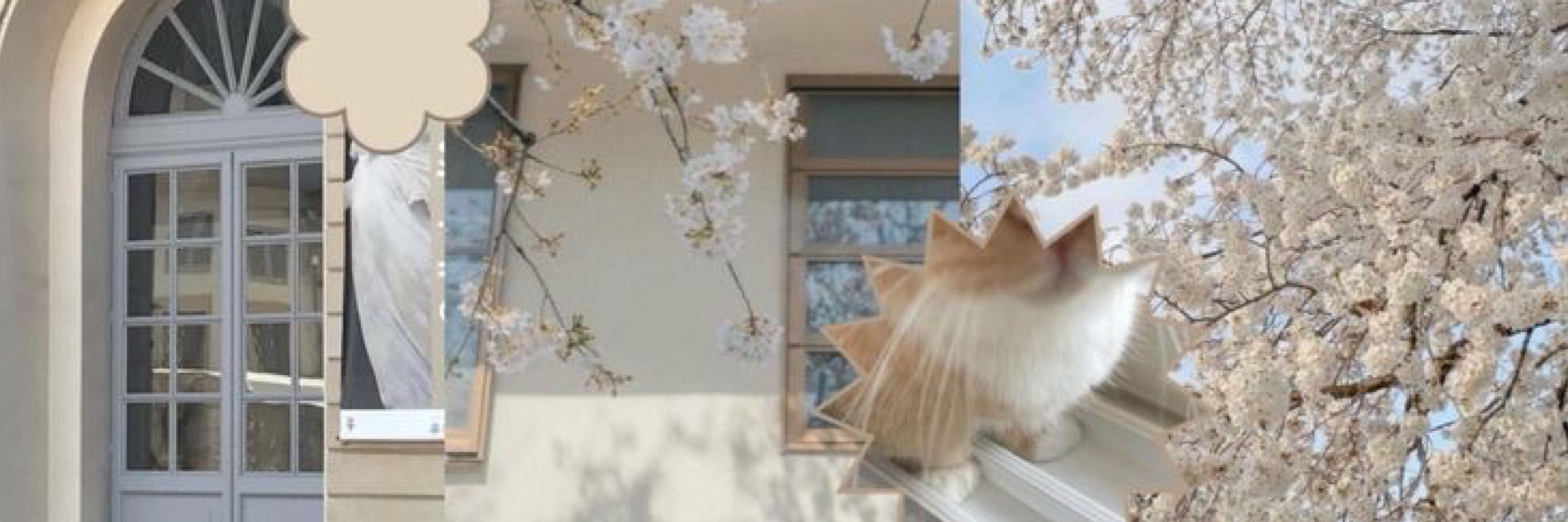 𝓃ana ⋆˚✿˖°