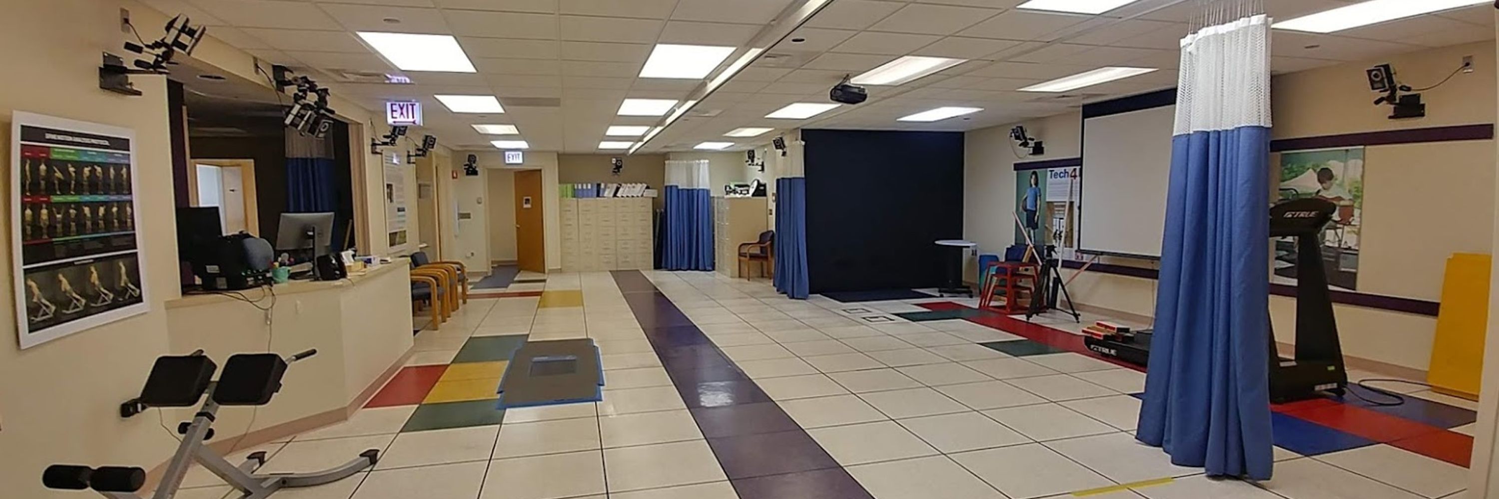 Gait & Clinical Movement Analysis Society