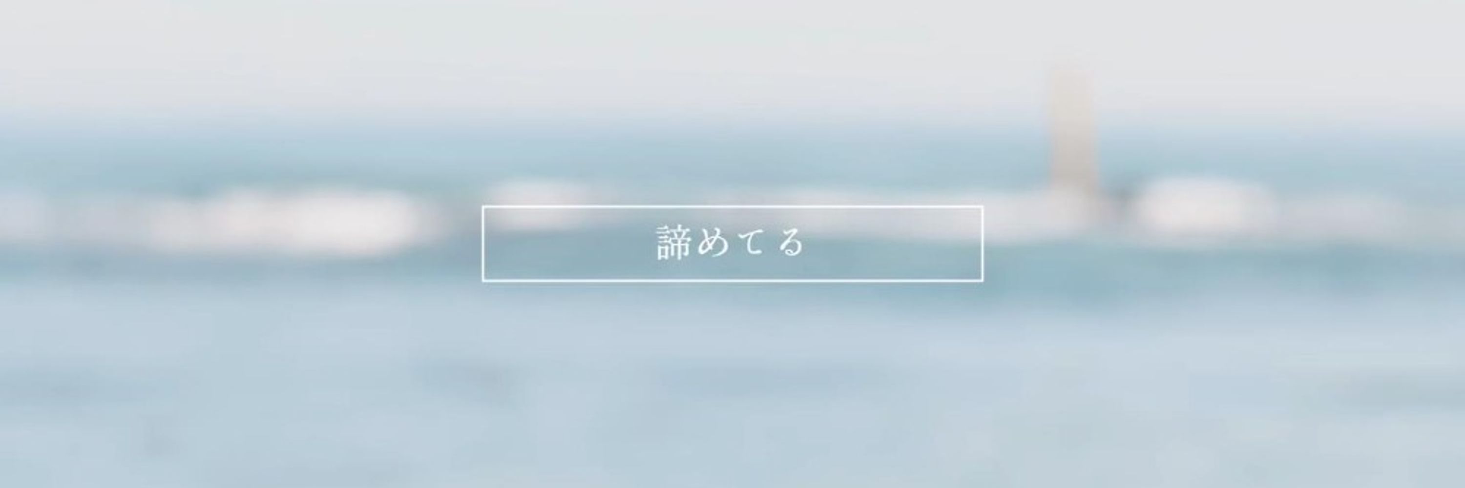 小鬍子大盜🥸