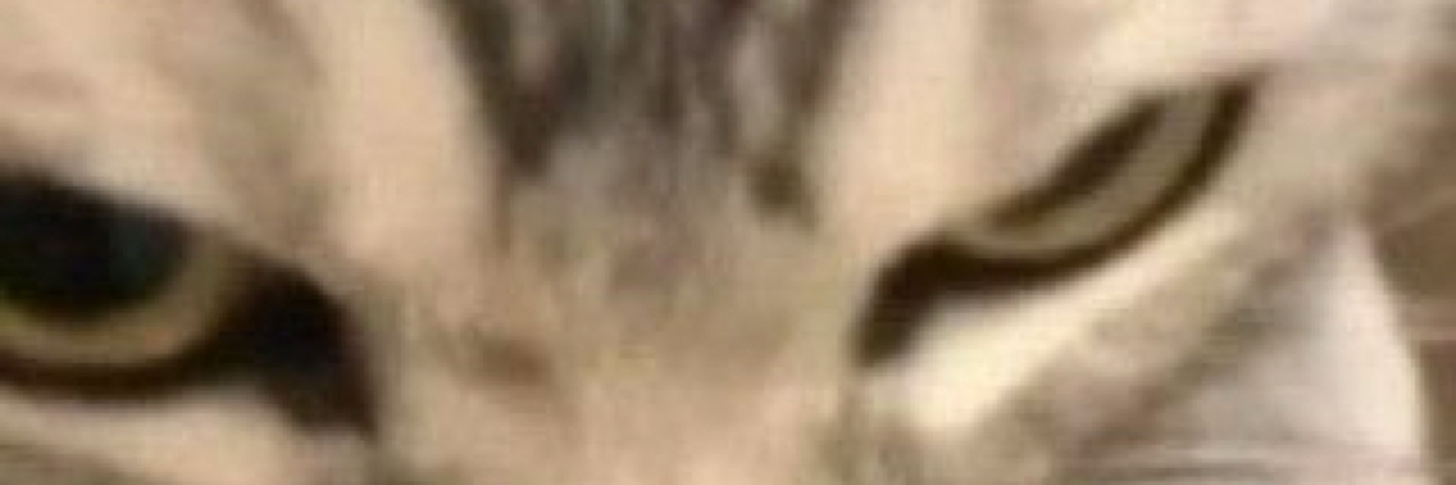 Luisinho 