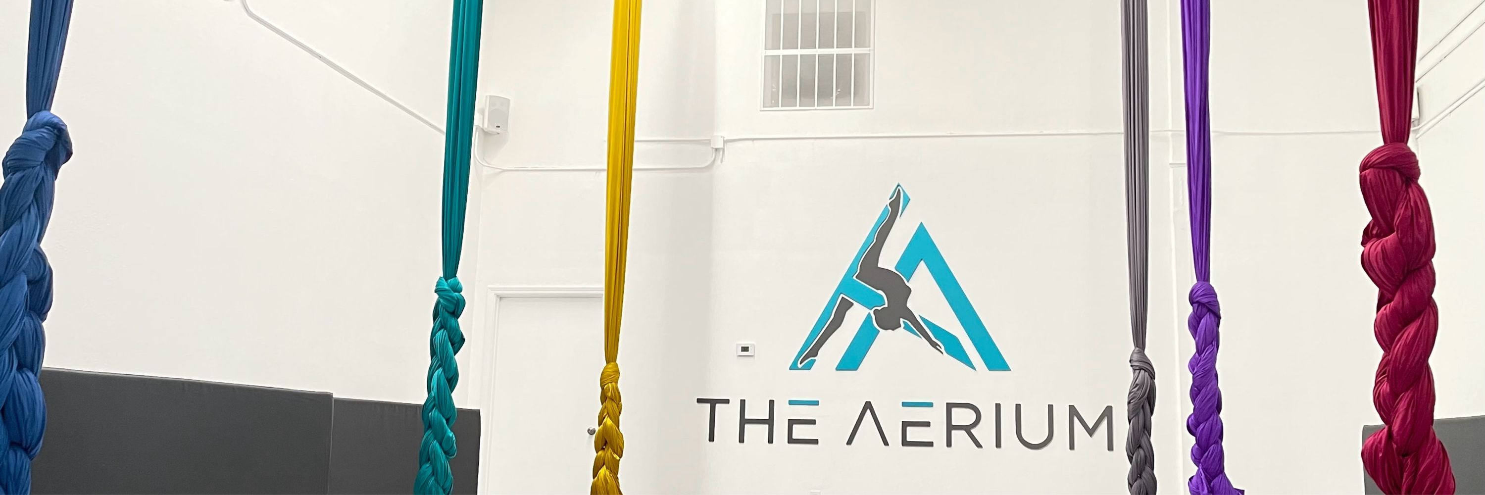 The Aerial Ninja