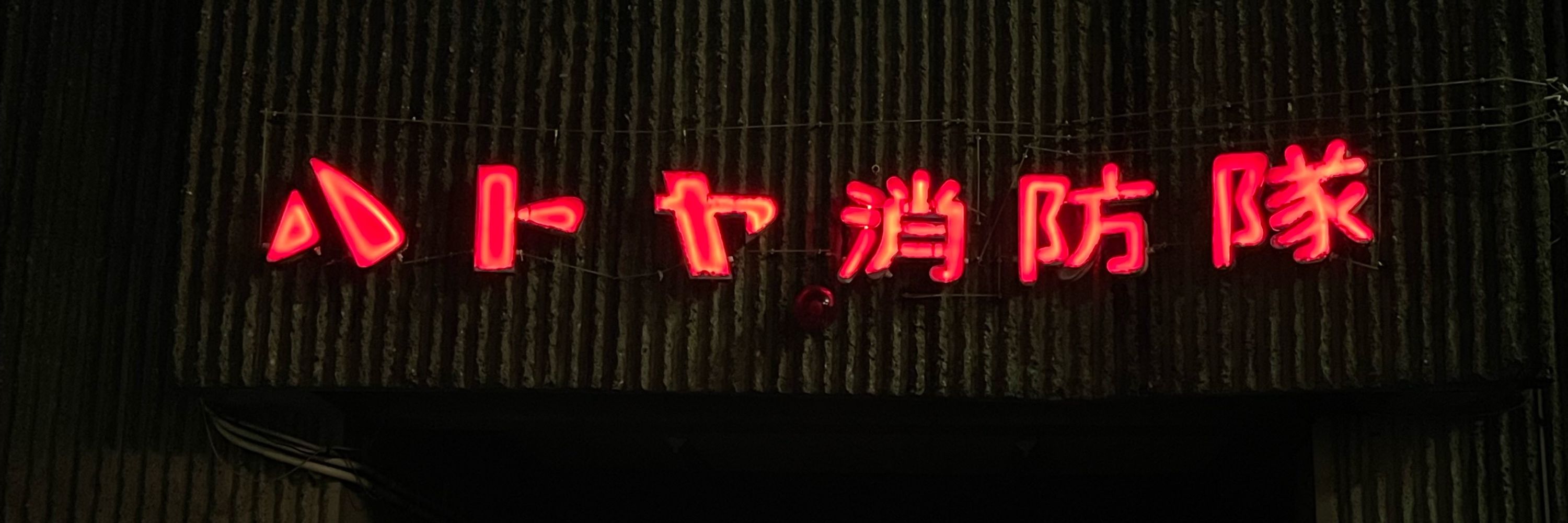 炬燵金魚