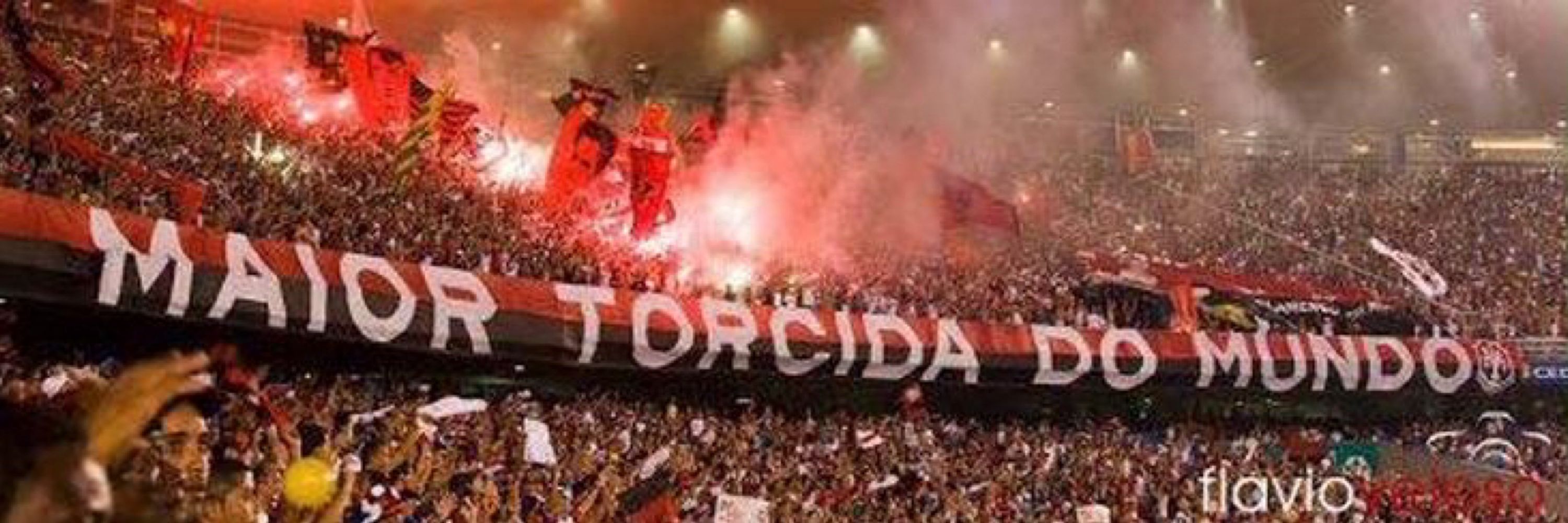 Lcpalmares