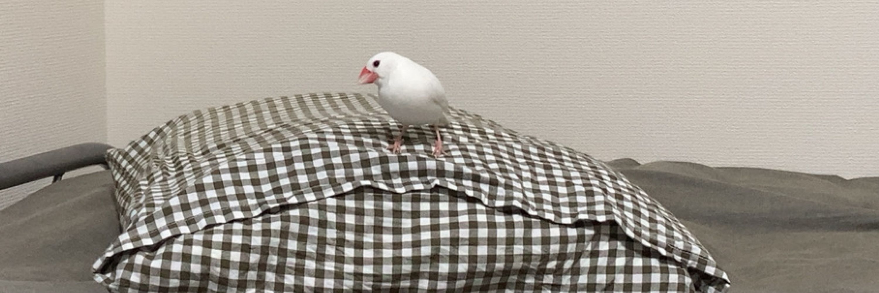 おいり