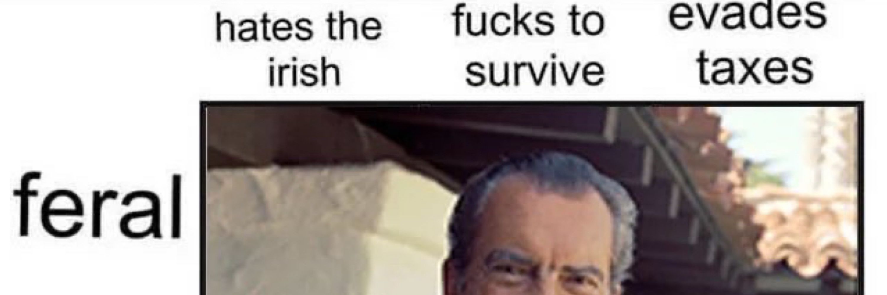 Musket