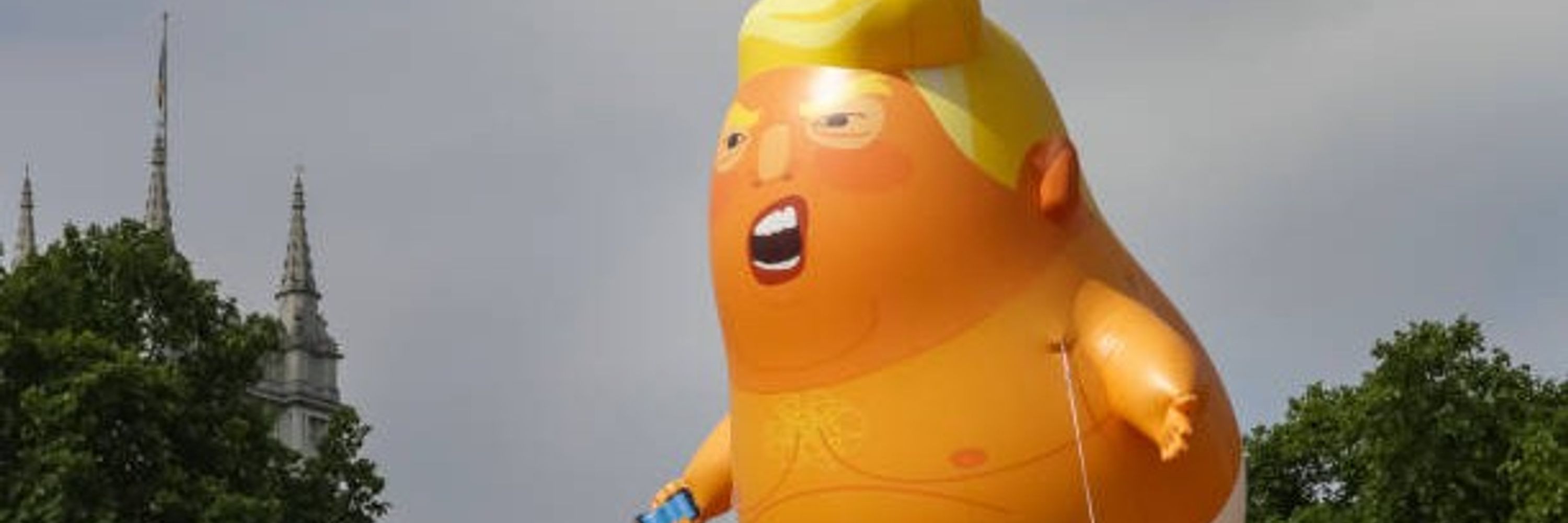 ElonFreeZone