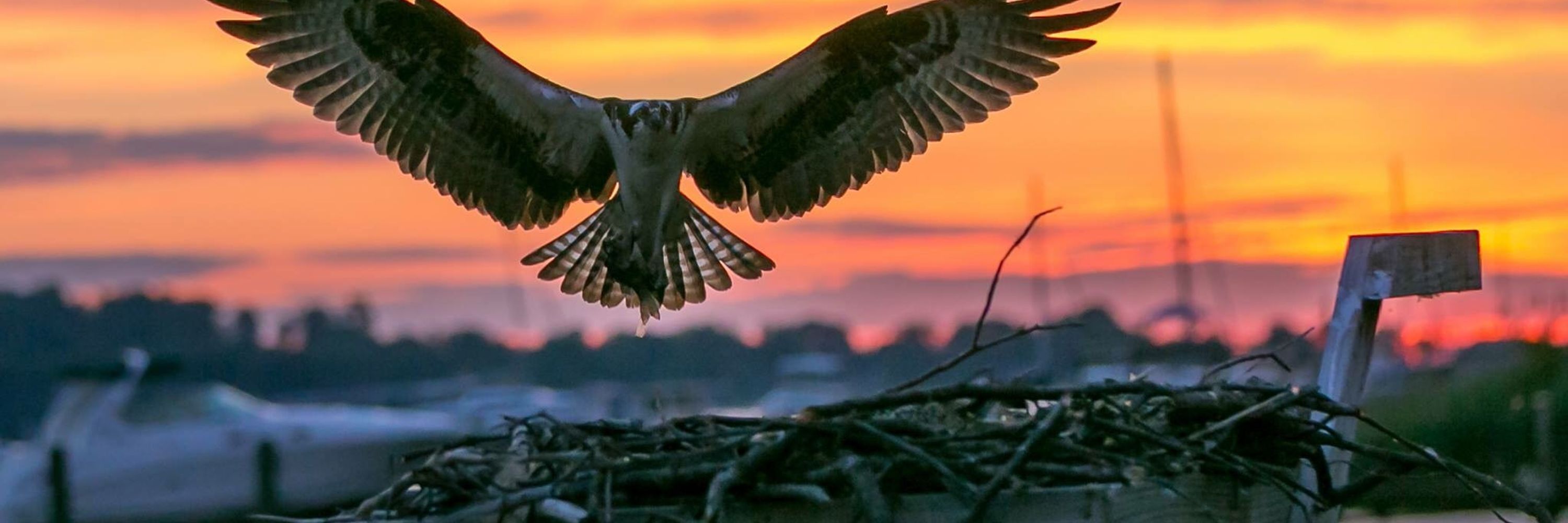Chesapeake Conservancy