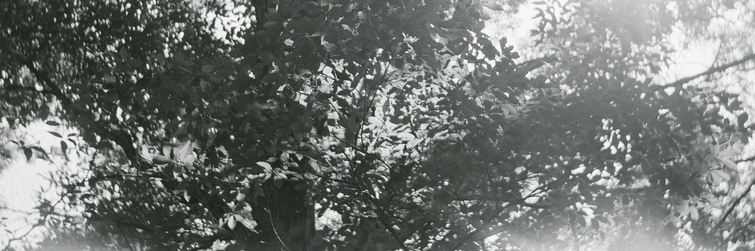 anaguma 文庫