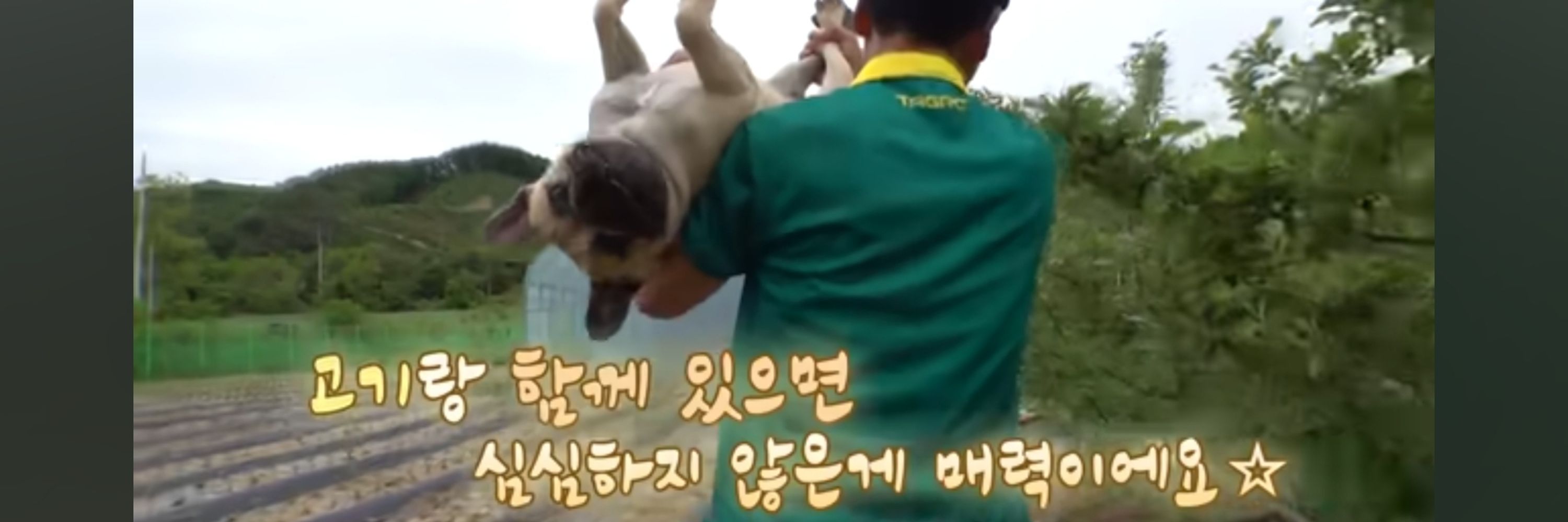 금