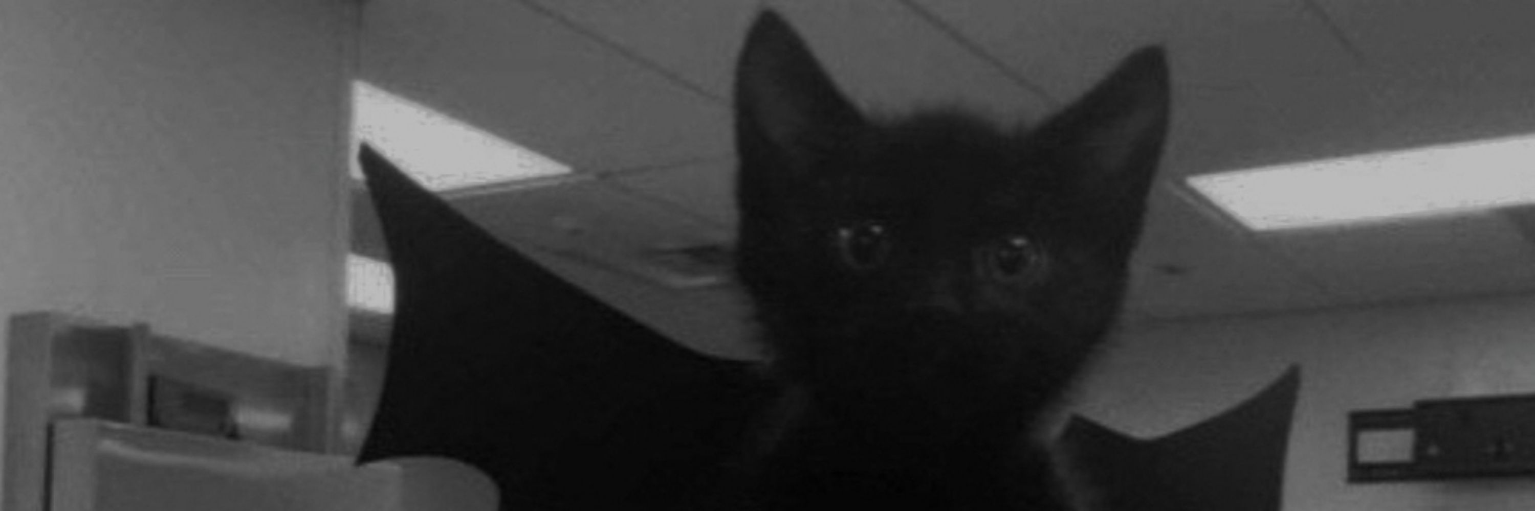 sofi.
