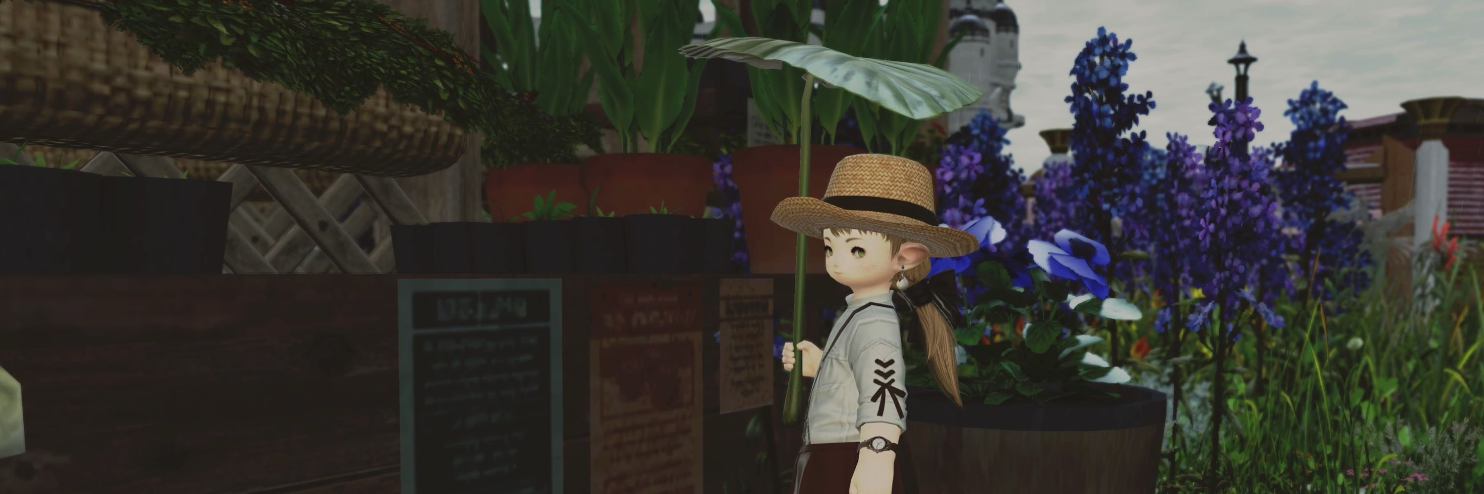 ちょこ