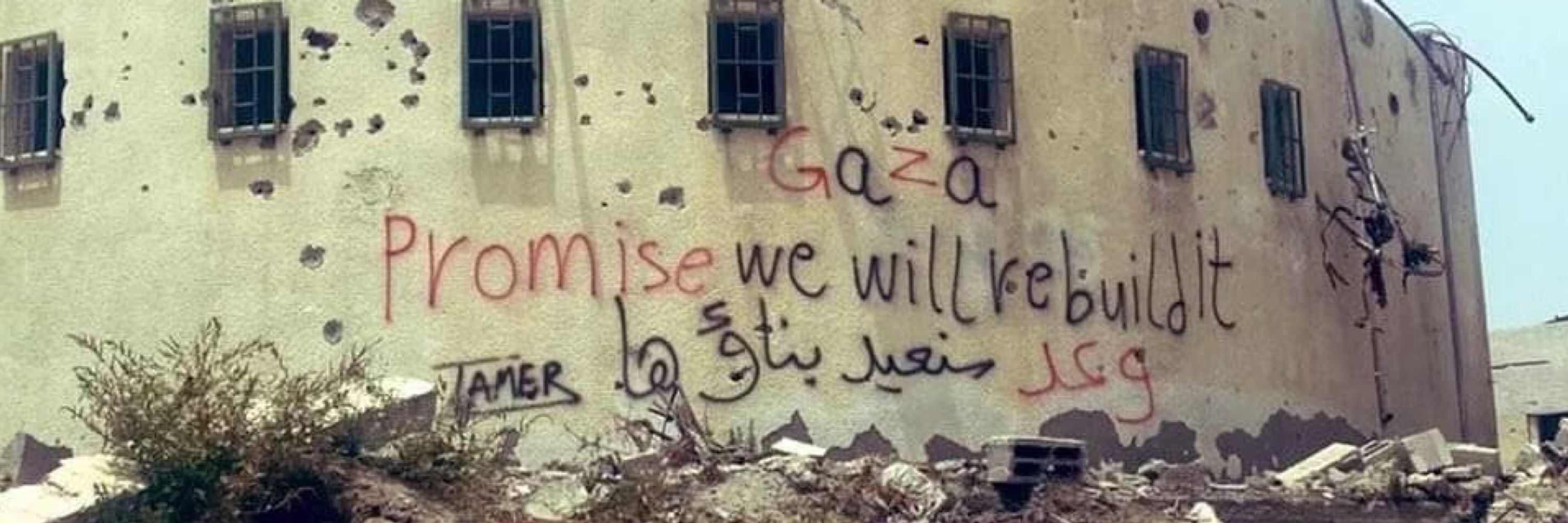 Marina Calculli 🇵🇸