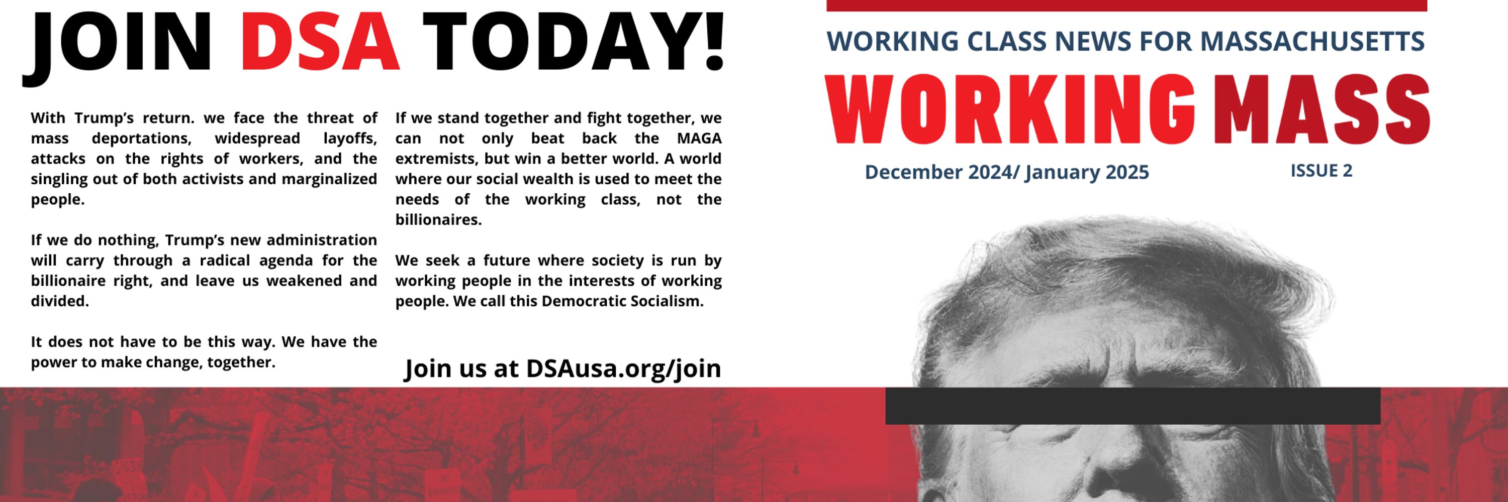 DSA Working Mass
