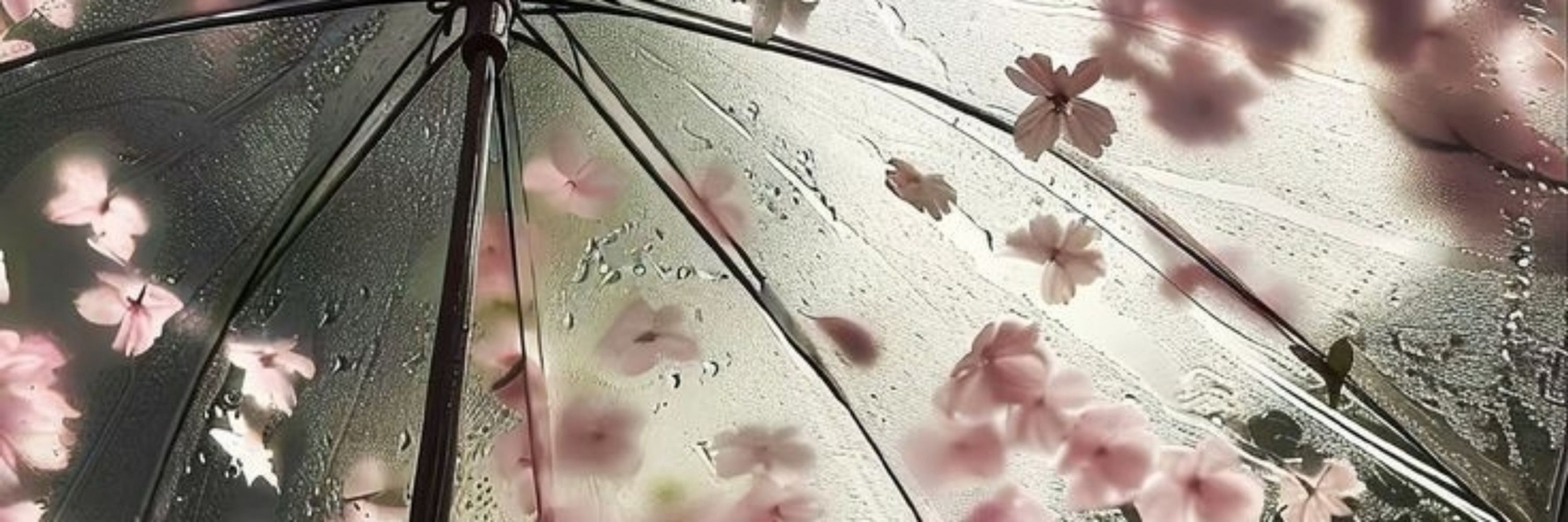 ꒰୨୧◞ 。𝗅𝗎𝗅𝑖⠀.ᐟ