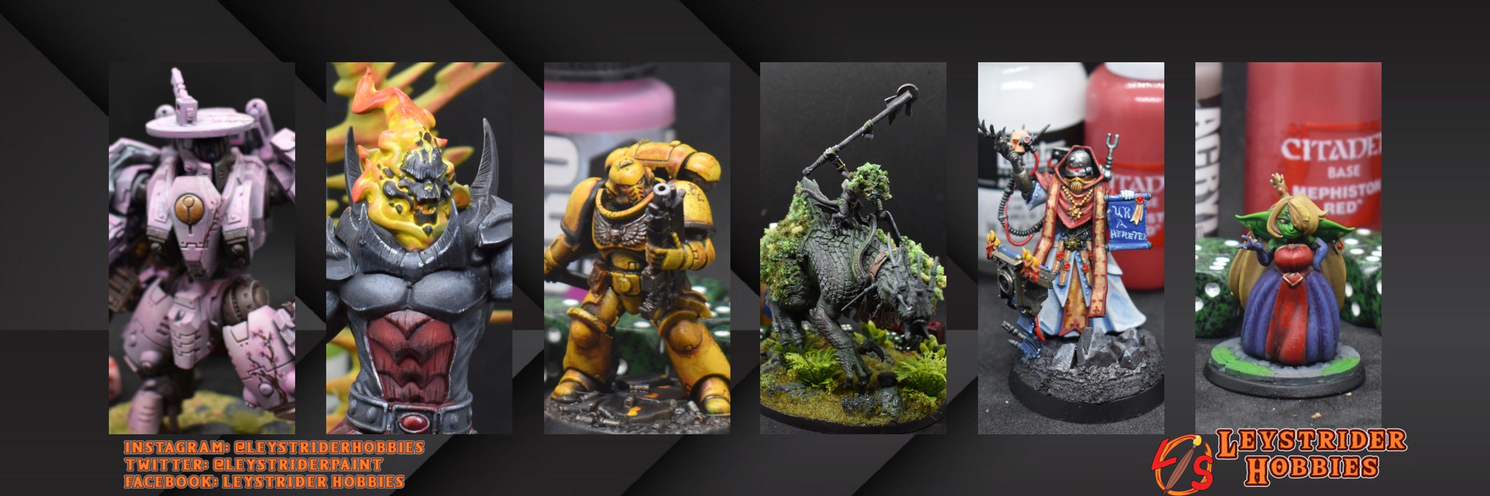 Leystrider Hobbies
