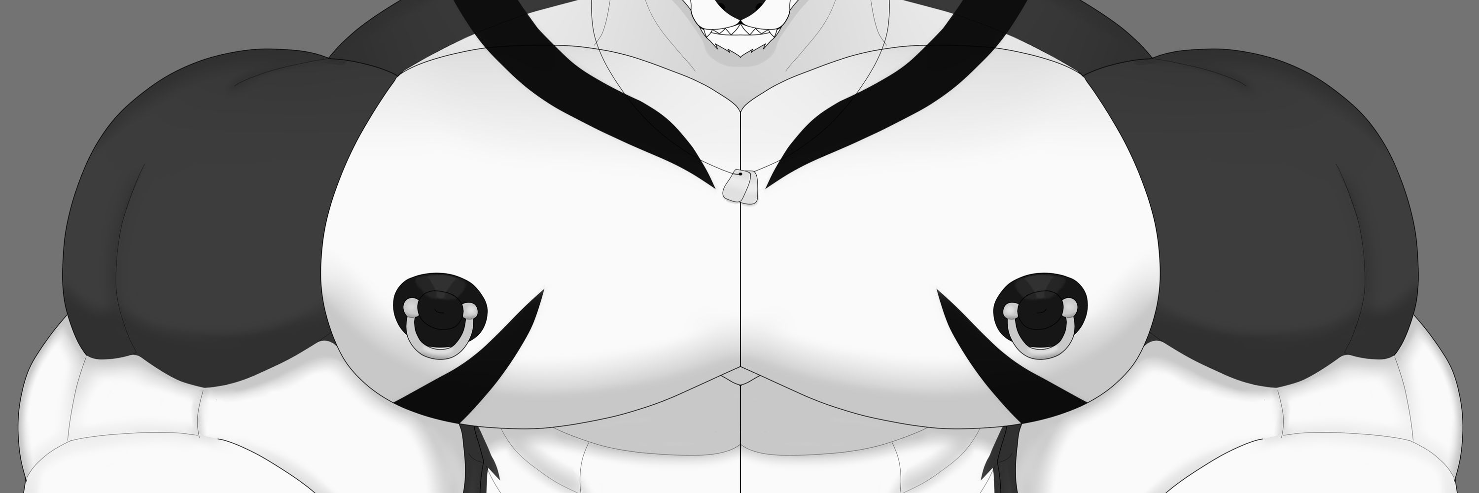 Ray Zephyr